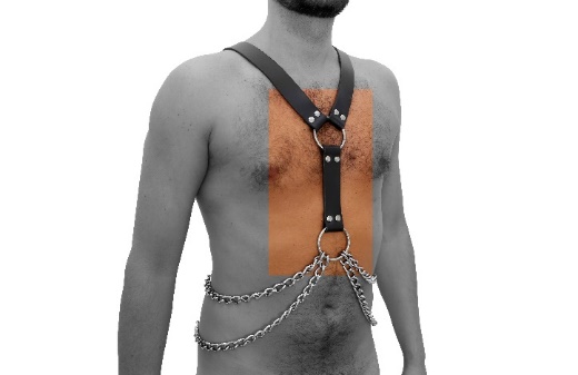 Y-Harness
