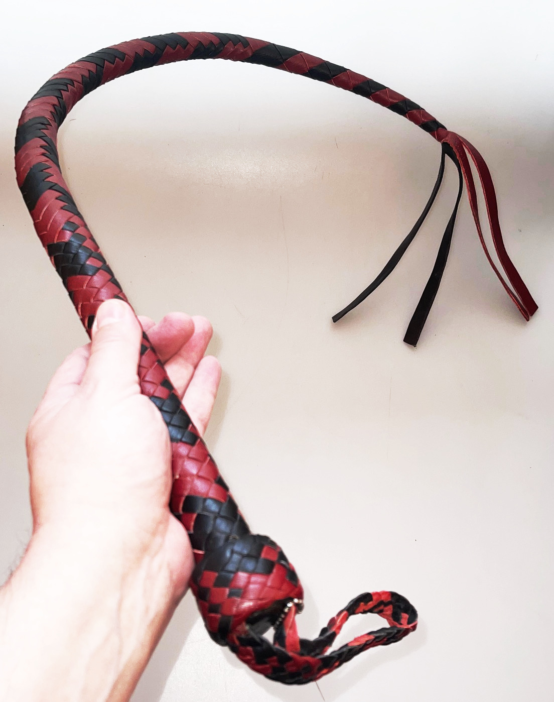 Kanadische Shortpeitsche kurze Singletail - RedBlack