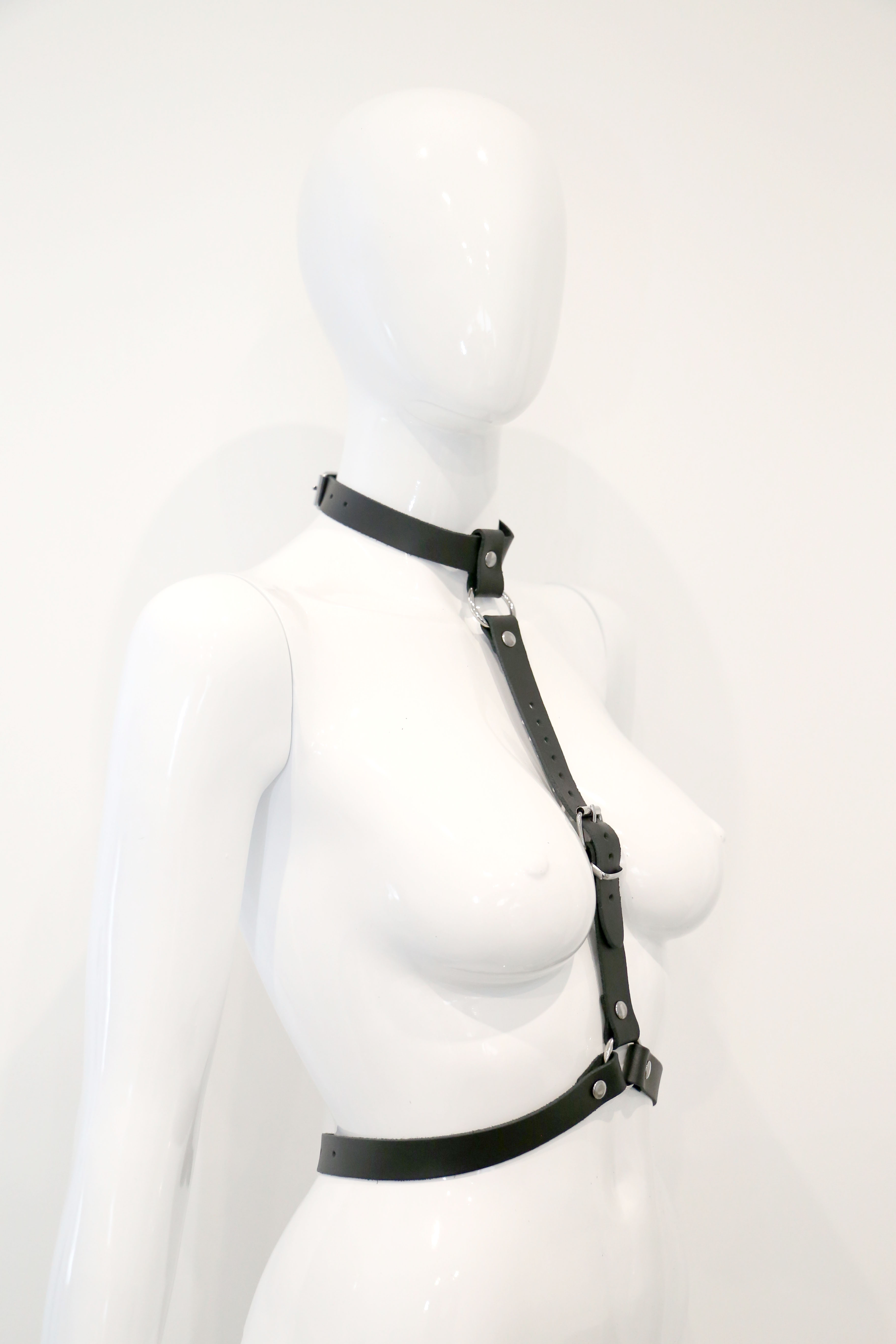 Halsband Harness/Taillengurt