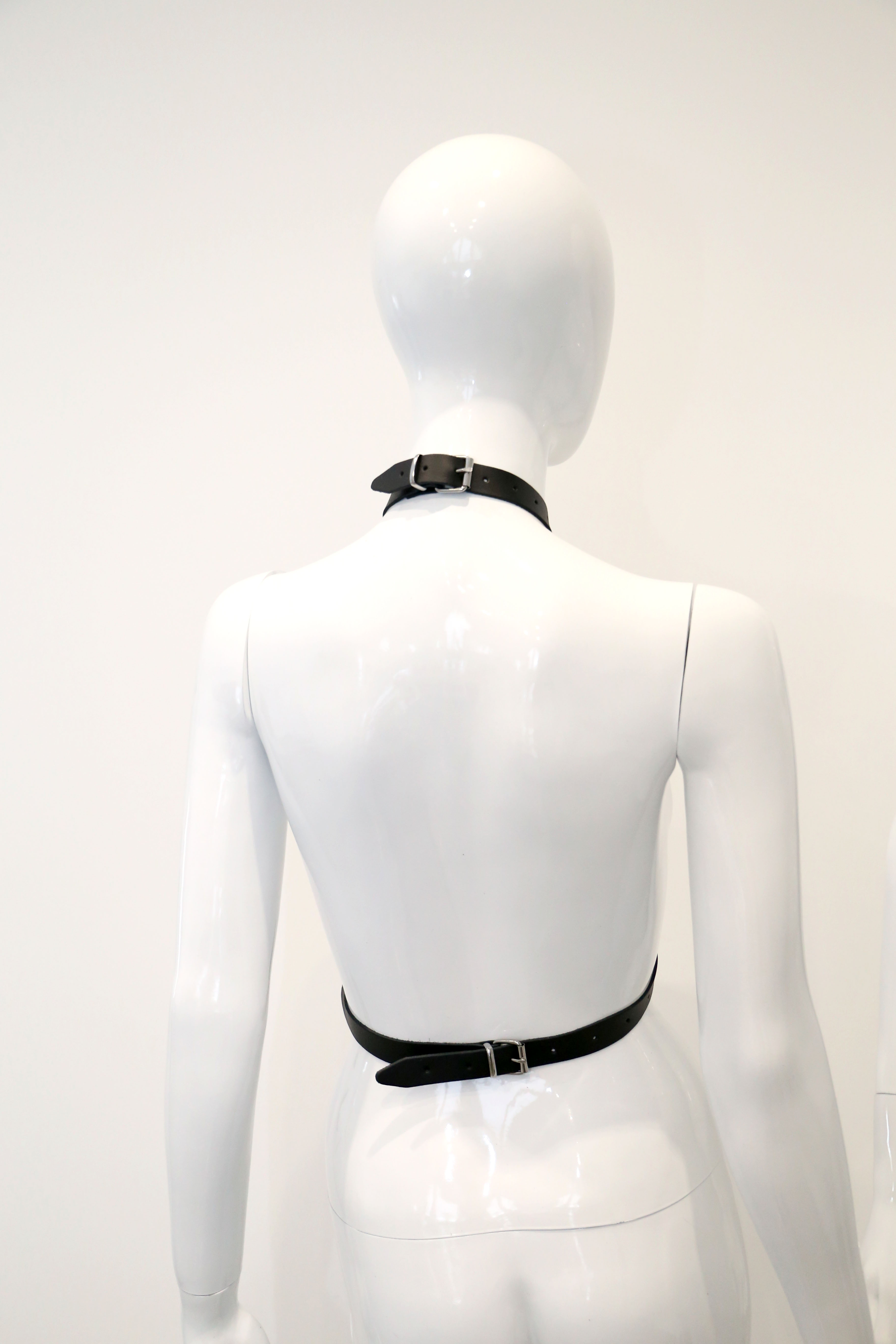 Halsband Harness/Taillengurt