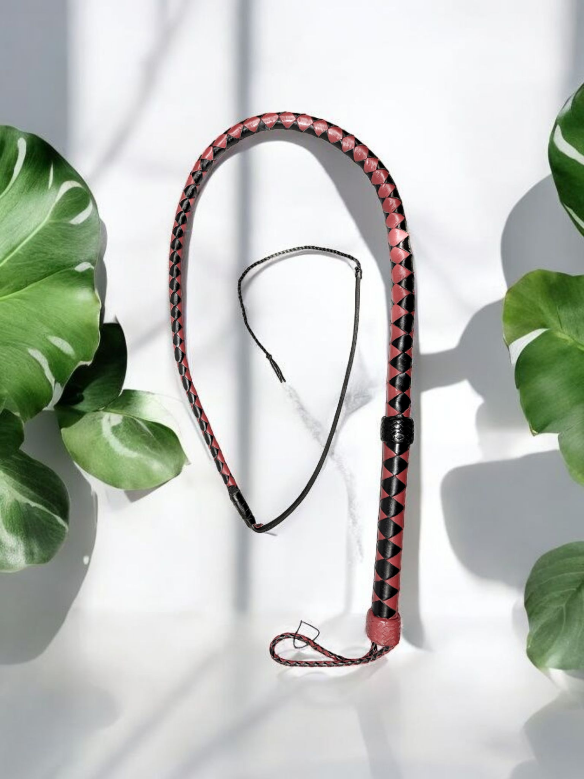 Bullwhip rot-schwarz
