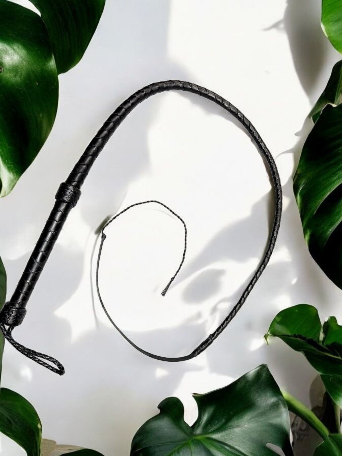 Bullwhip schwarz