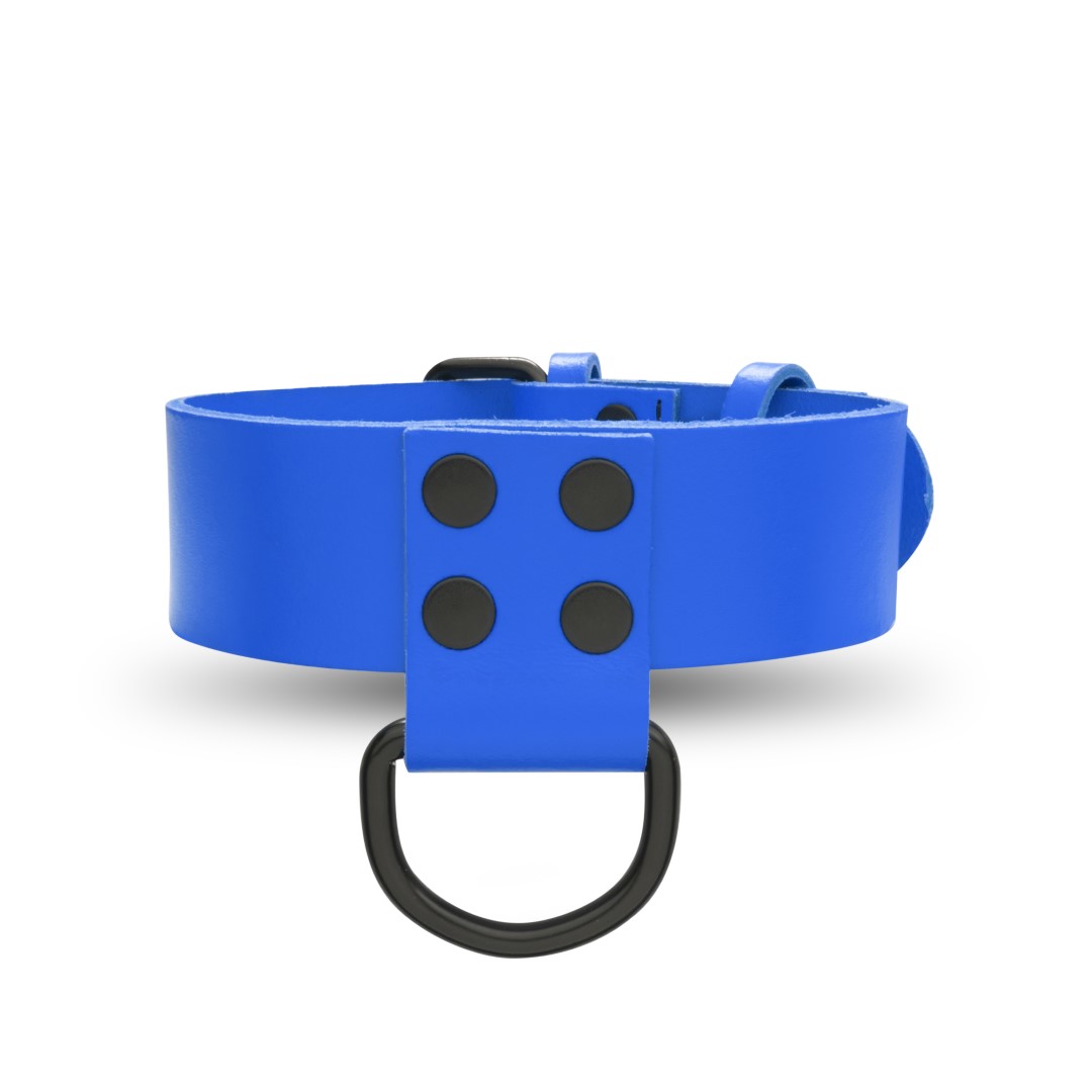 Leather Collar Blue