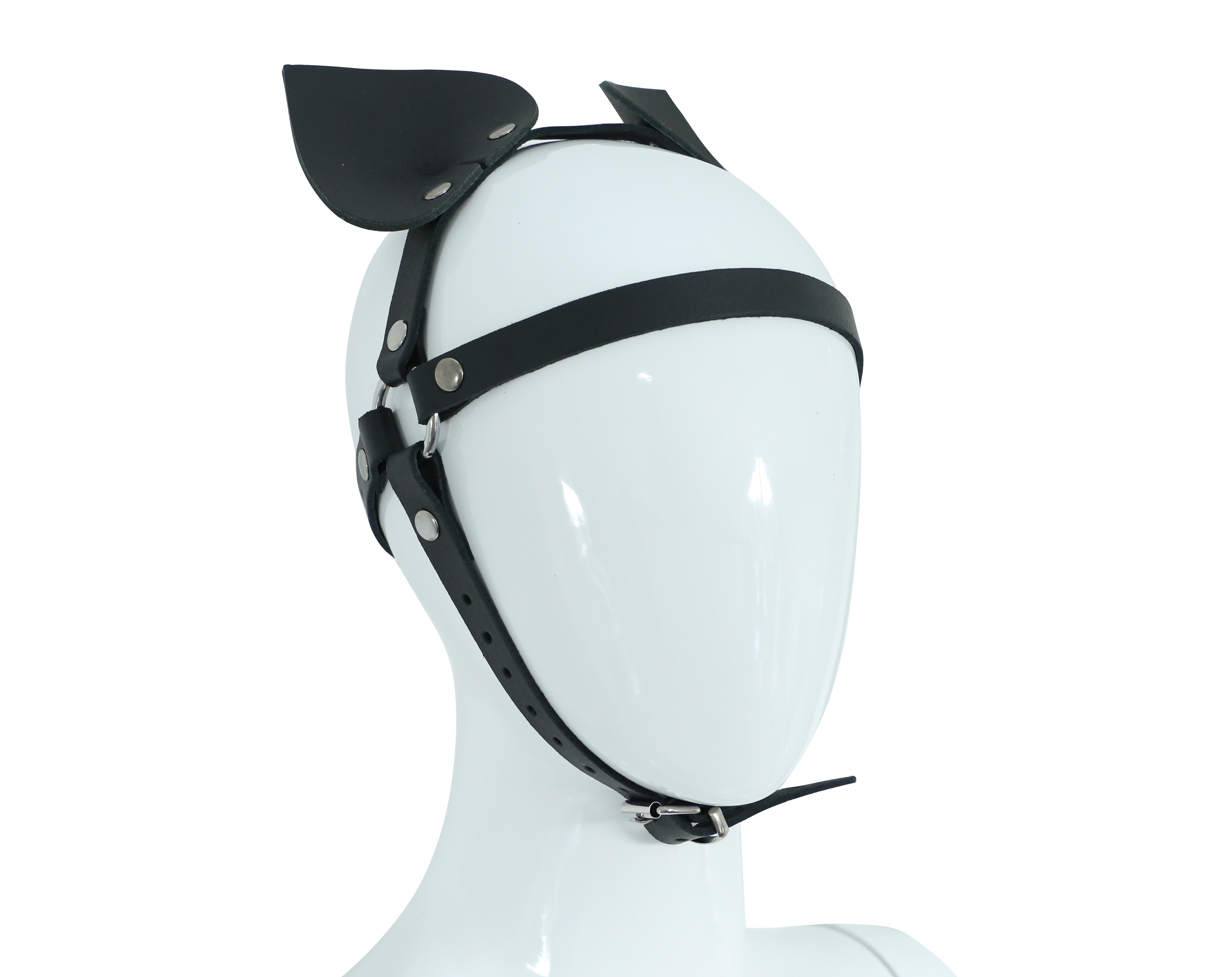 Head Ears