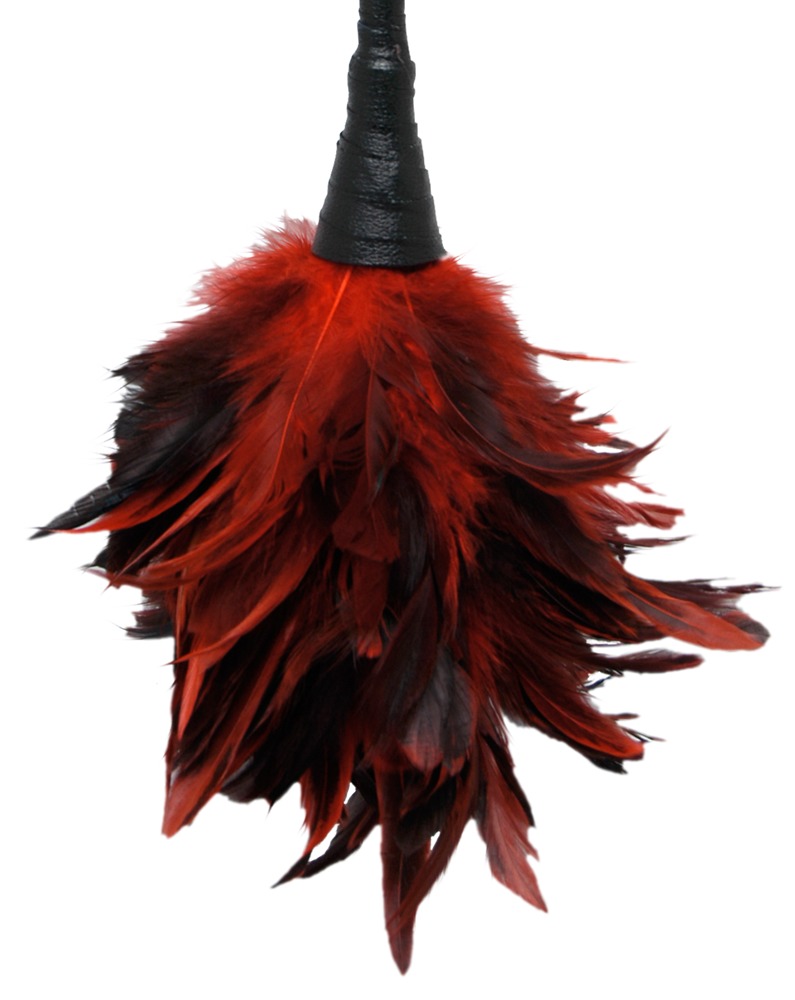 Frisky Feather