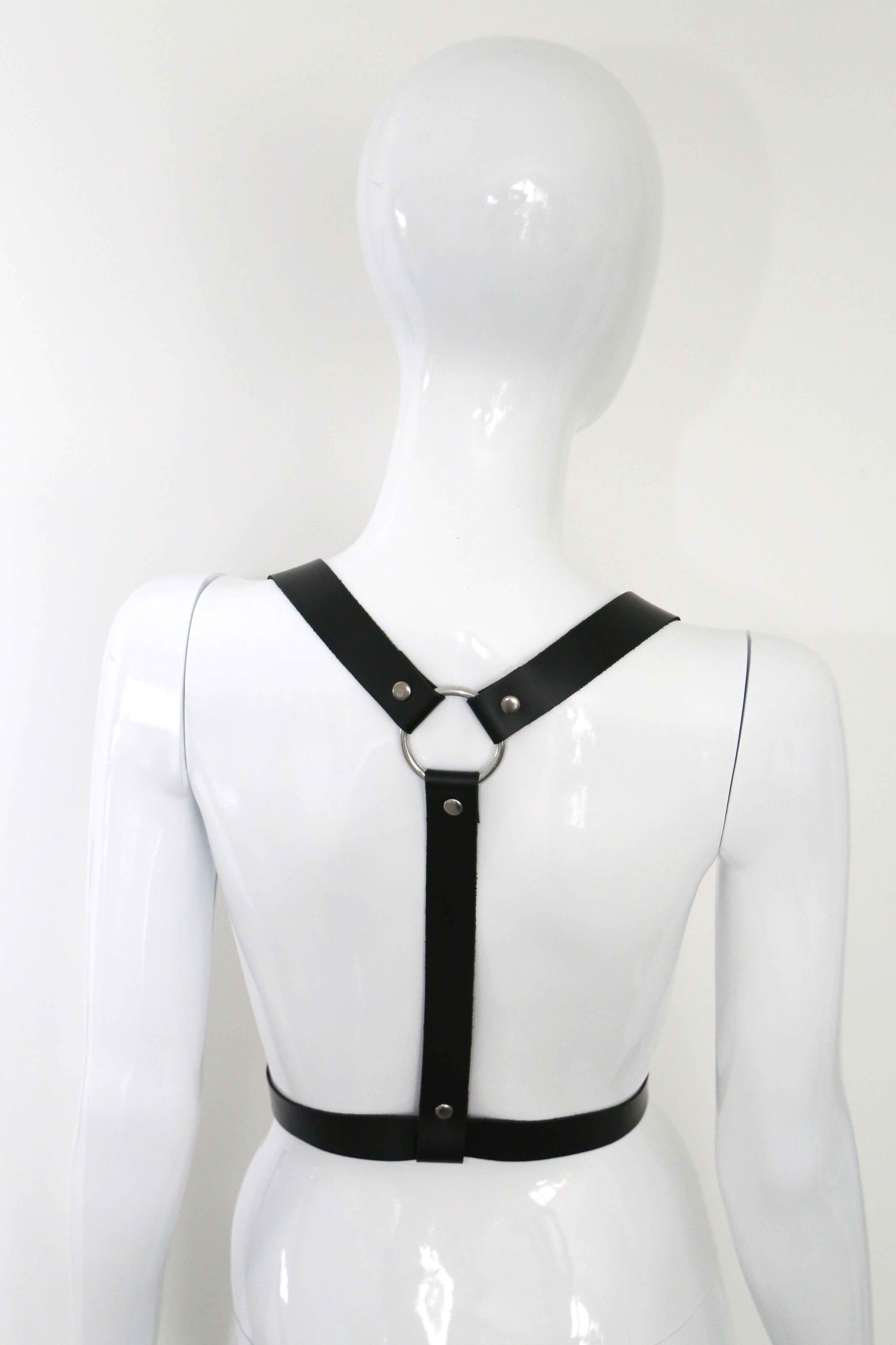 Harness Demonic