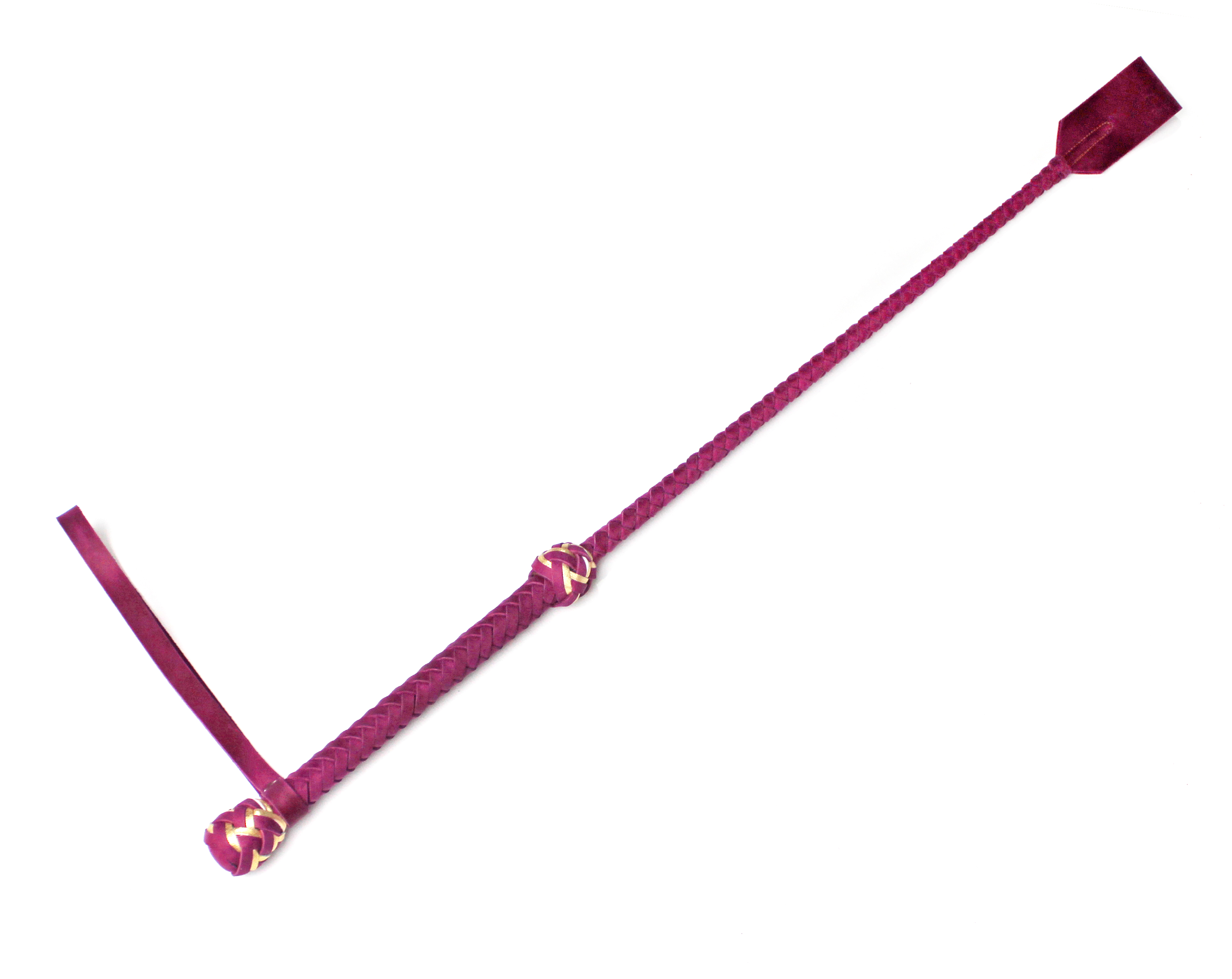 Fuchsia Crop