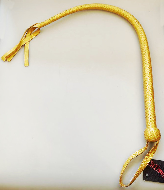 Kanadische Shortpeitsche kurze Singletail - Gold