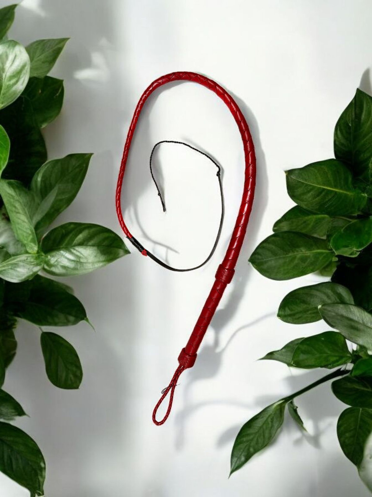 Bullwhip rot