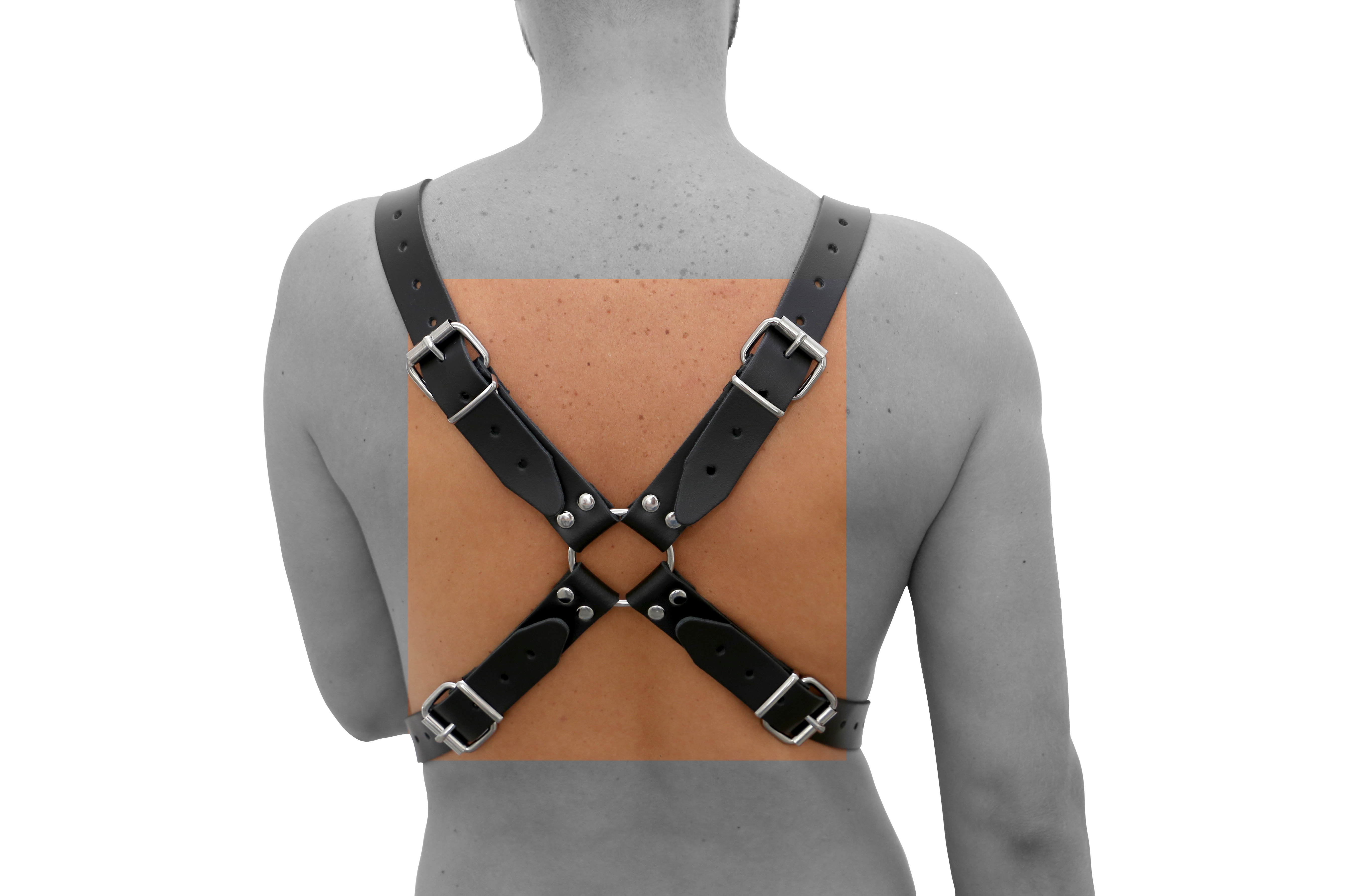 Harness O-Ring