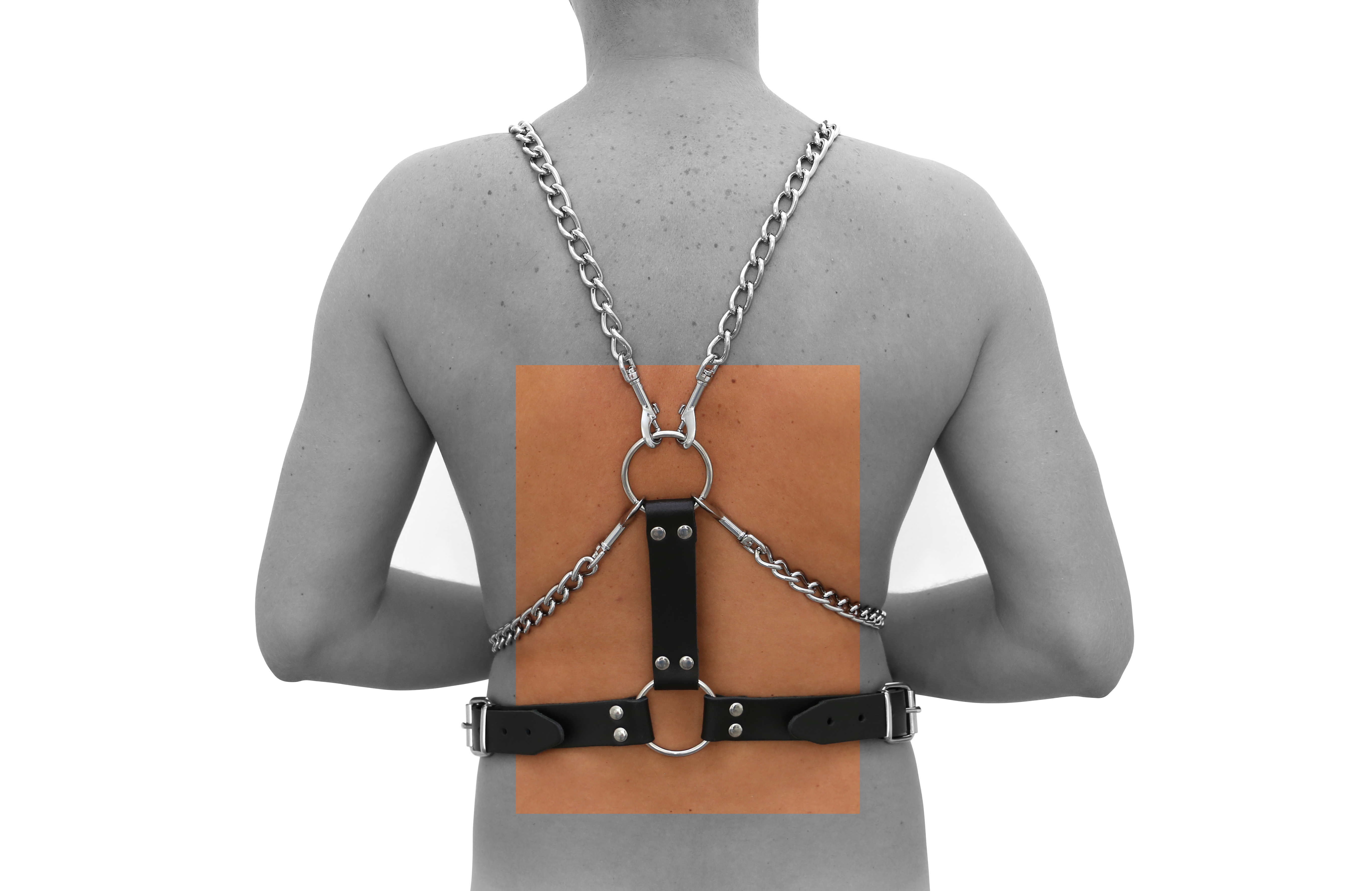Y-Harness