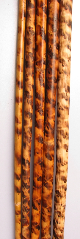 Rohrstock - Leo Stick - THE WILD ONE - ungeschält, Ø ca. 10mm, Länge ca. 60cm