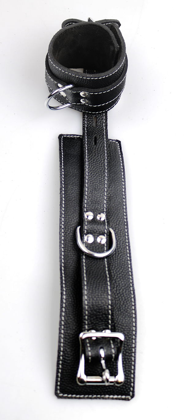 Cat-Set-2 Handfessel