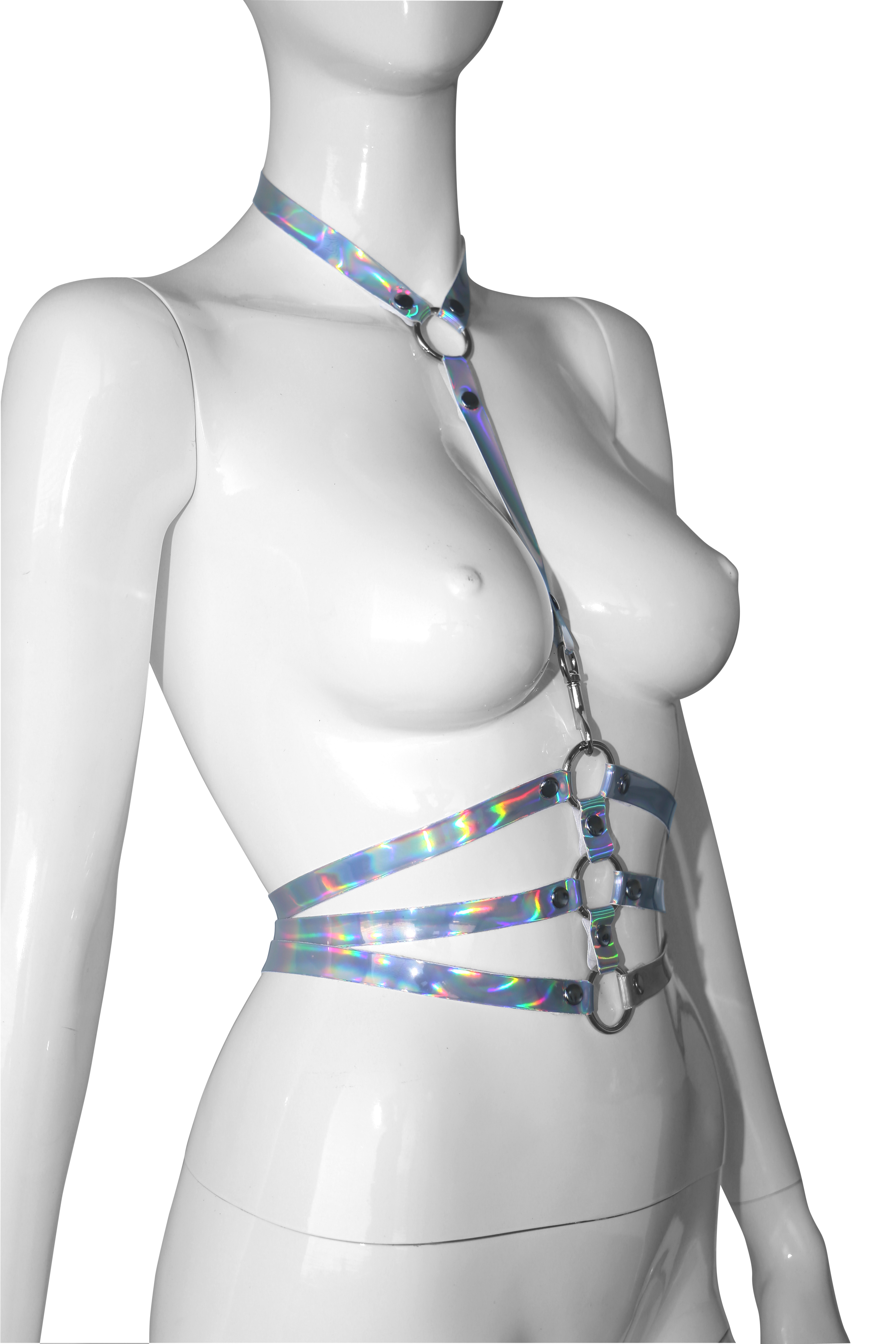 Body Holographic