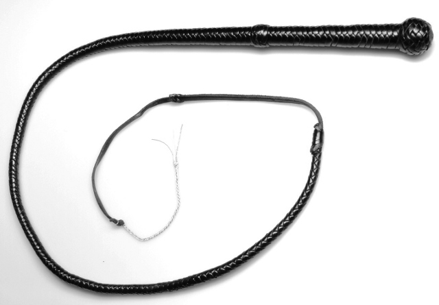 Bullwhip 12fach Hirschleder 180cm
