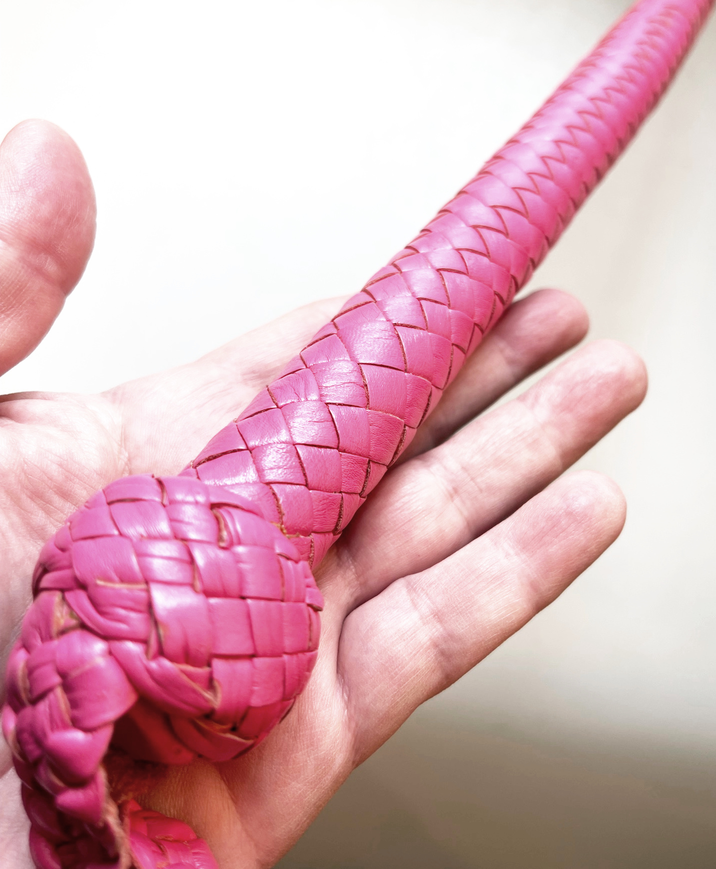 Kanadische Shortpeitsche kurze Singletail - Pink