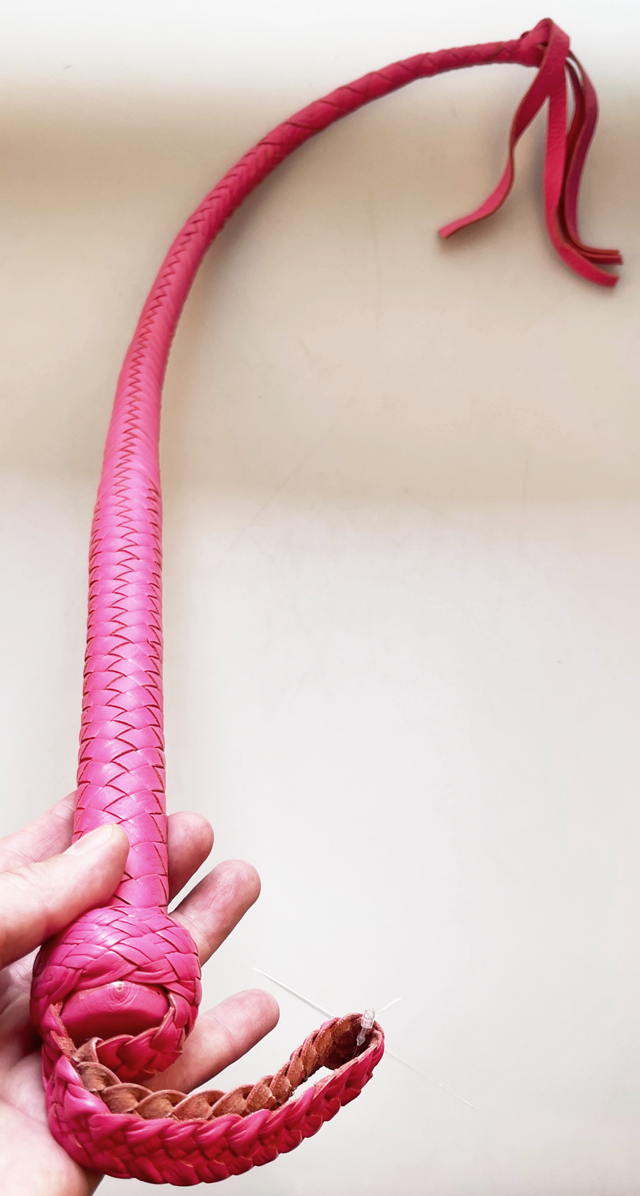 Kanadische Shortpeitsche kurze Singletail - Pink