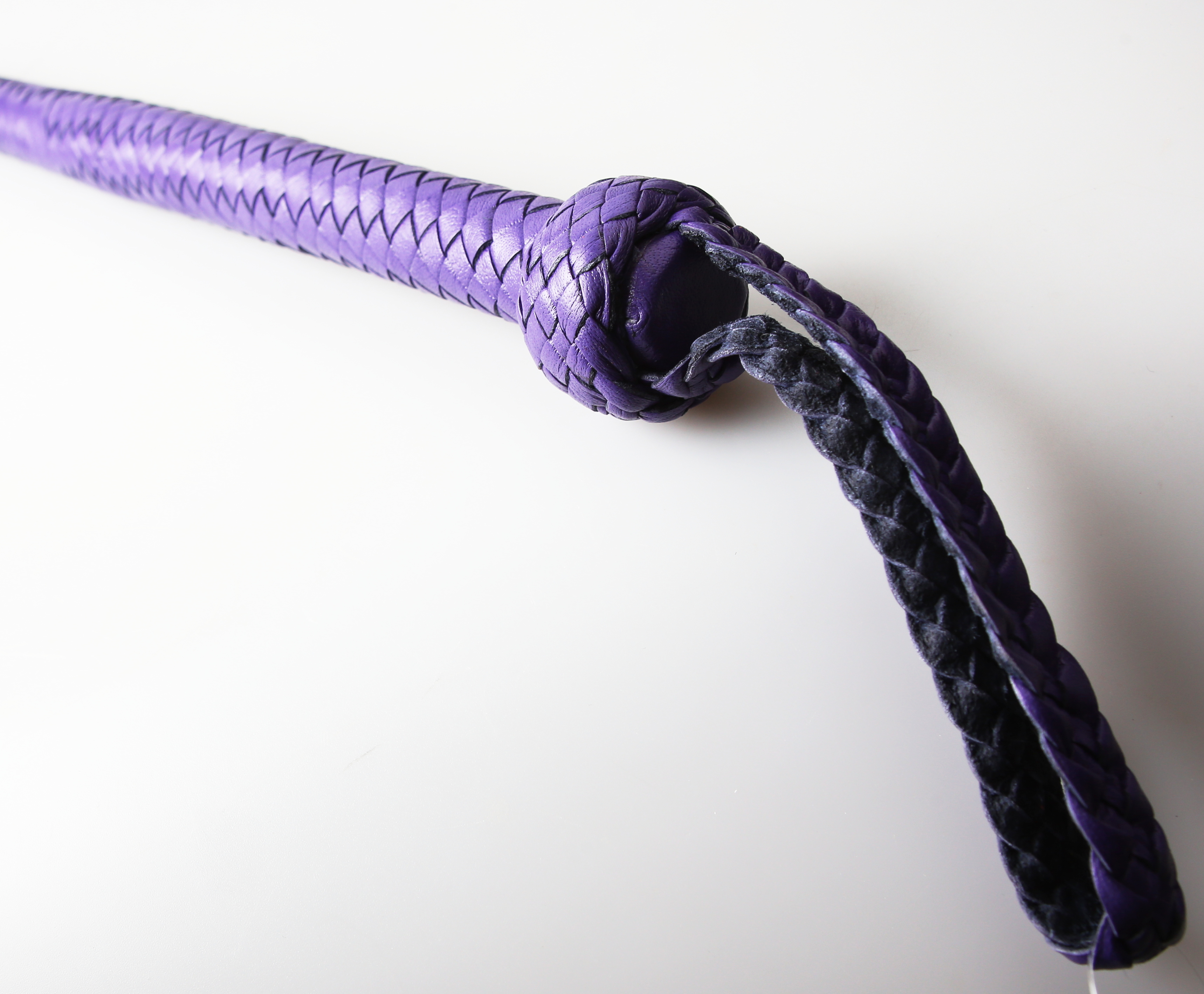 Kanadische Shortpeitsche kurze Singletail - Lila Purple