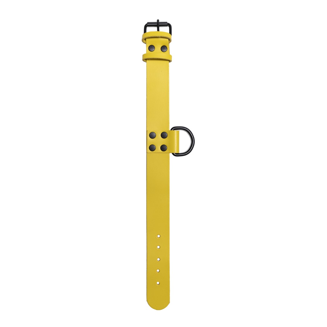 Leather Collar Yellow