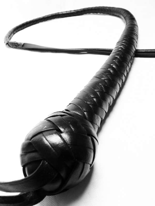 HundePeitsche- Dog Whip - in drei Längen -  SCHWARZ