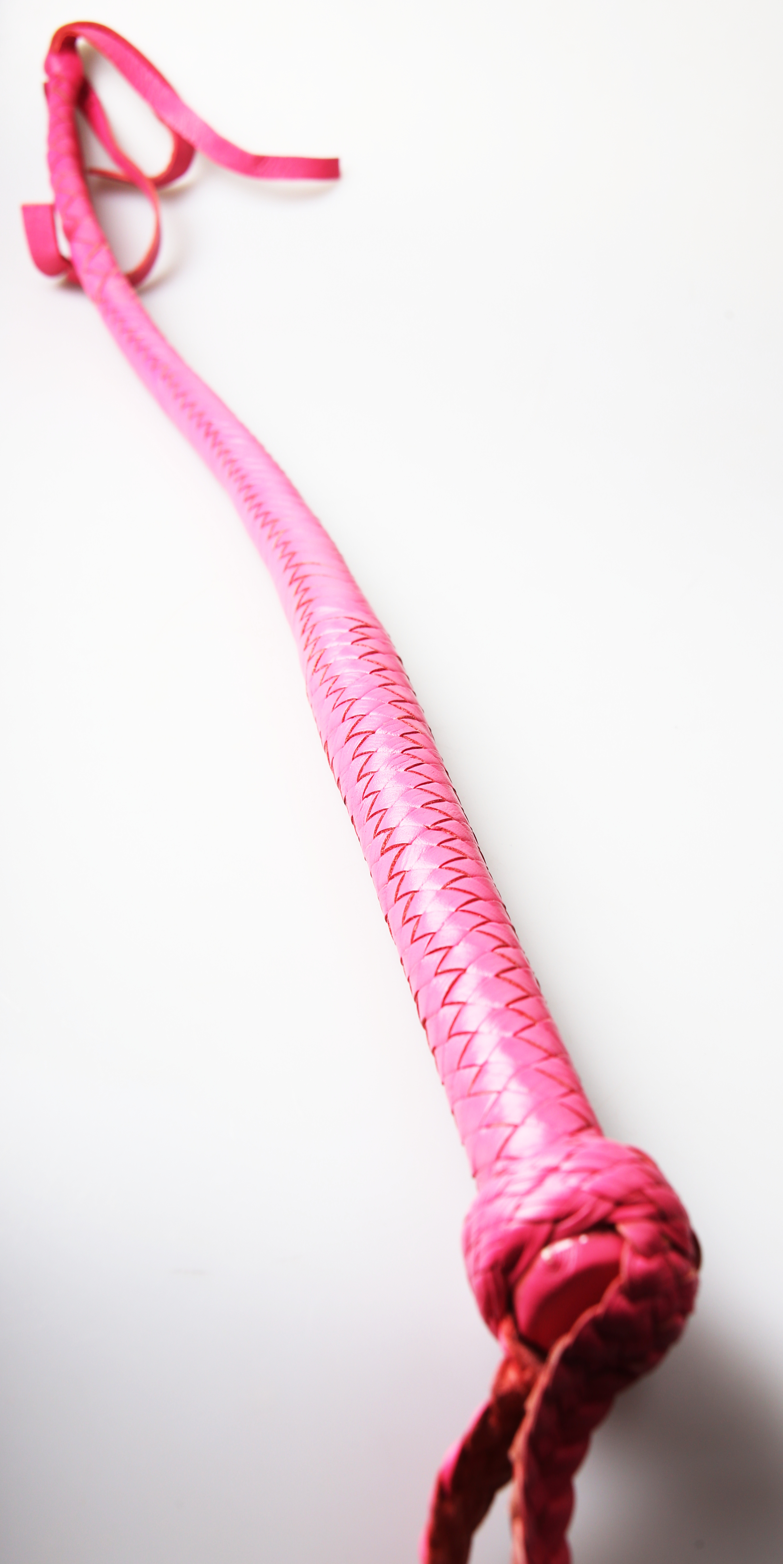 Kanadische Shortpeitsche kurze Singletail - Pink