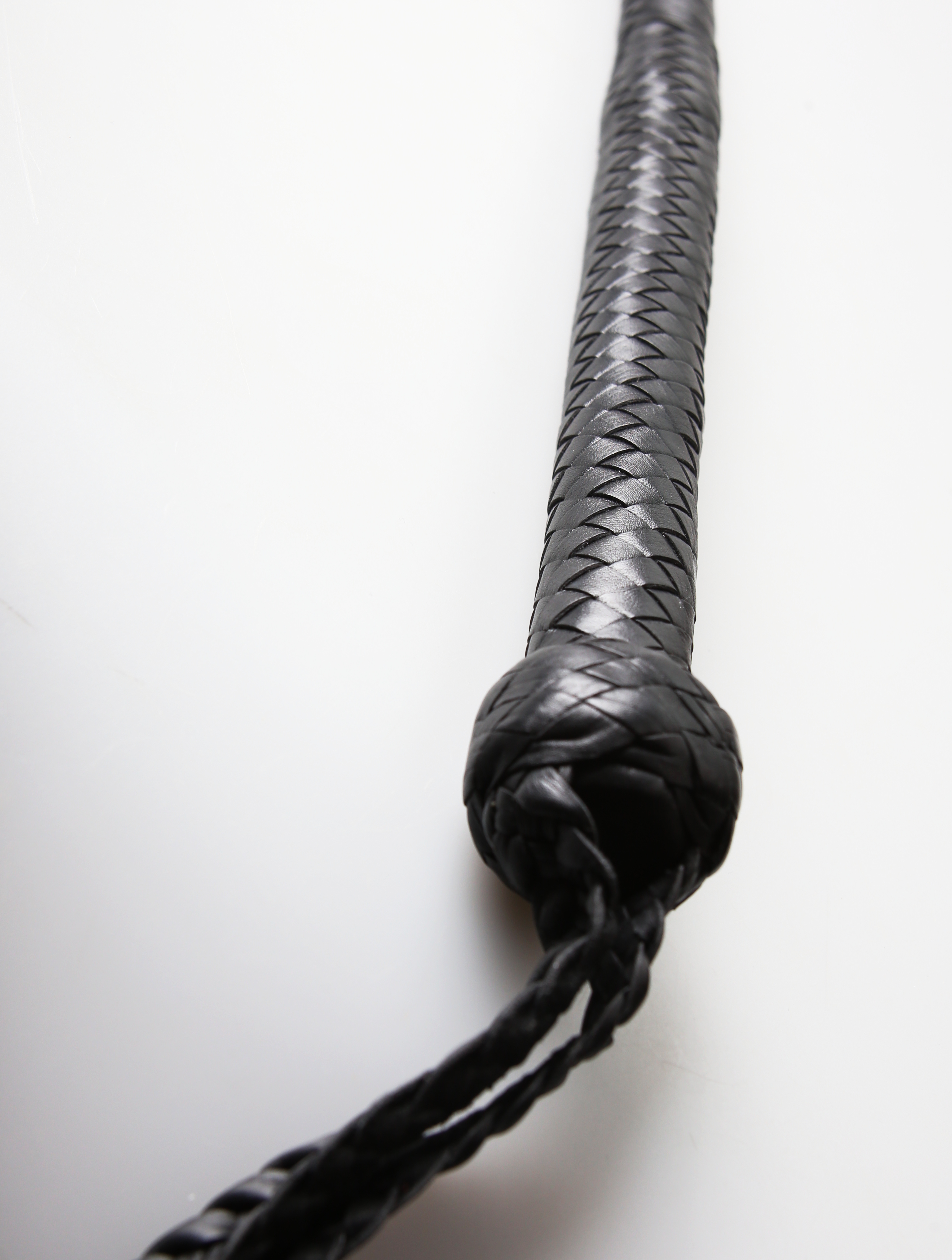 Kanadische Shortpeitsche kurze Singletail - Black
