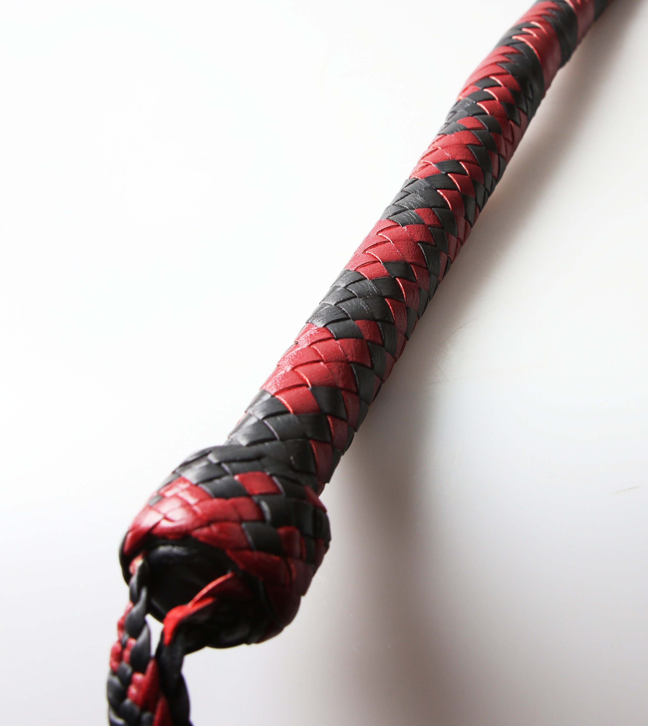Kanadische Shortpeitsche kurze Singletail - RedBlack