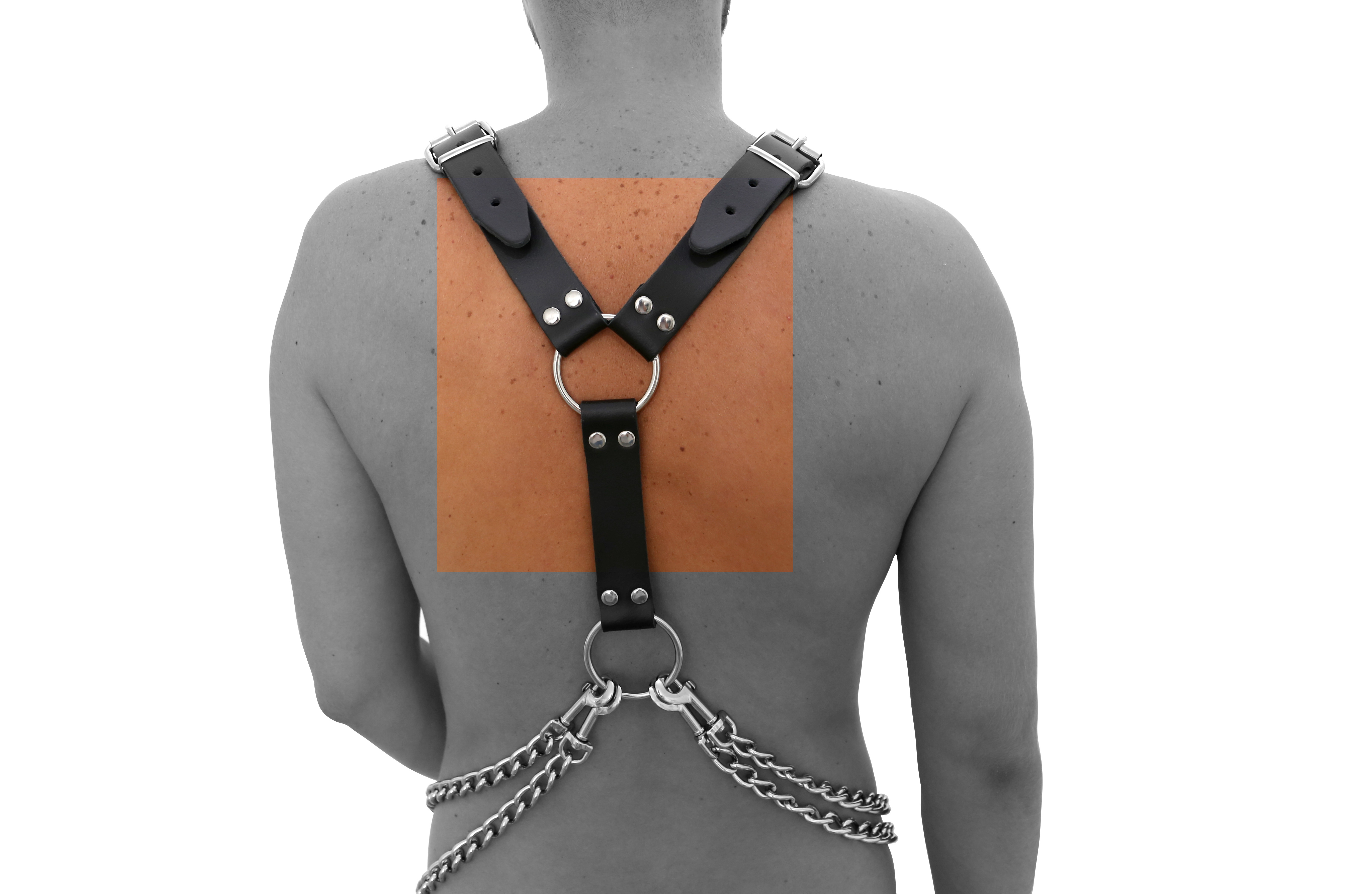 Y-Harness