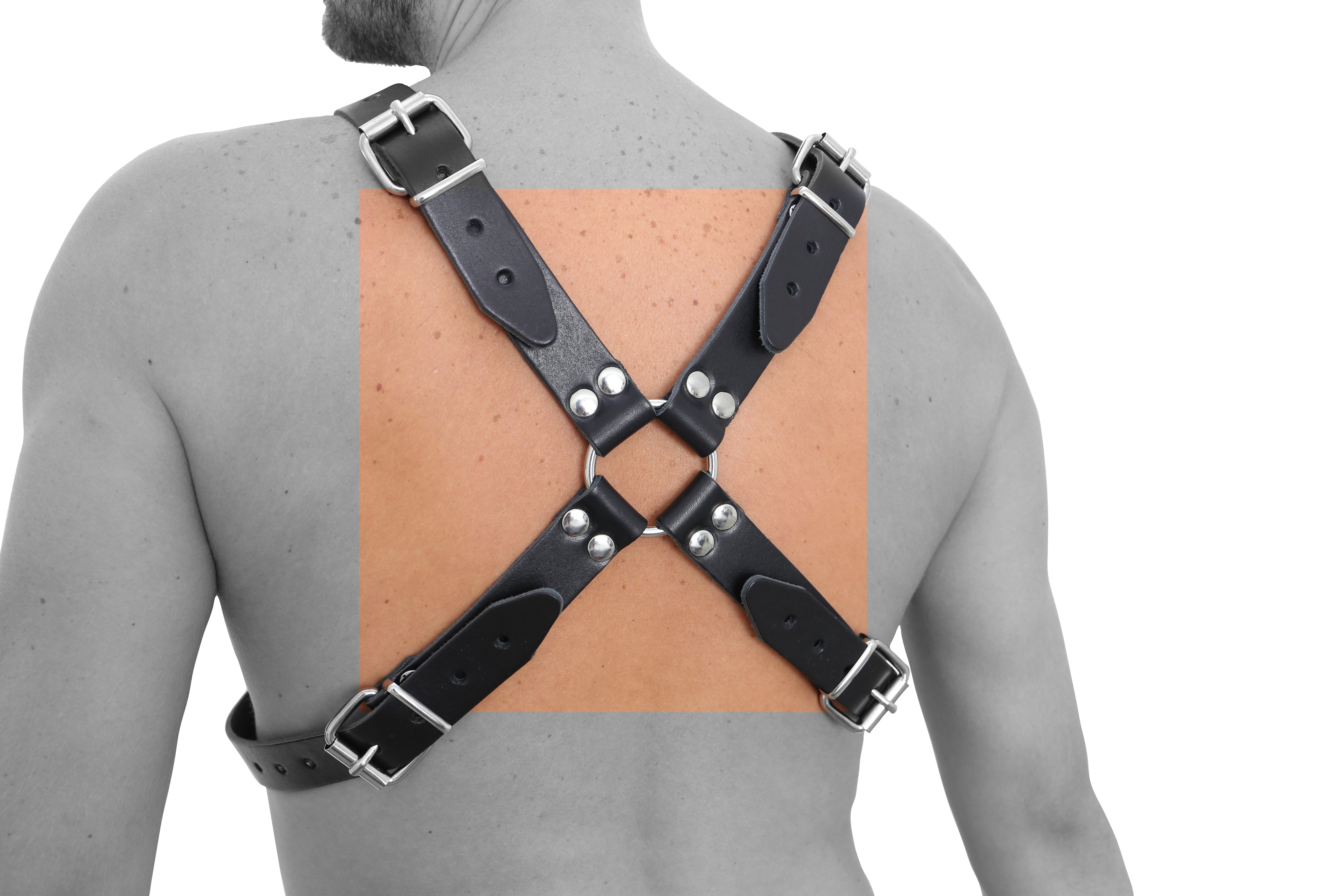 Harness Hard Series