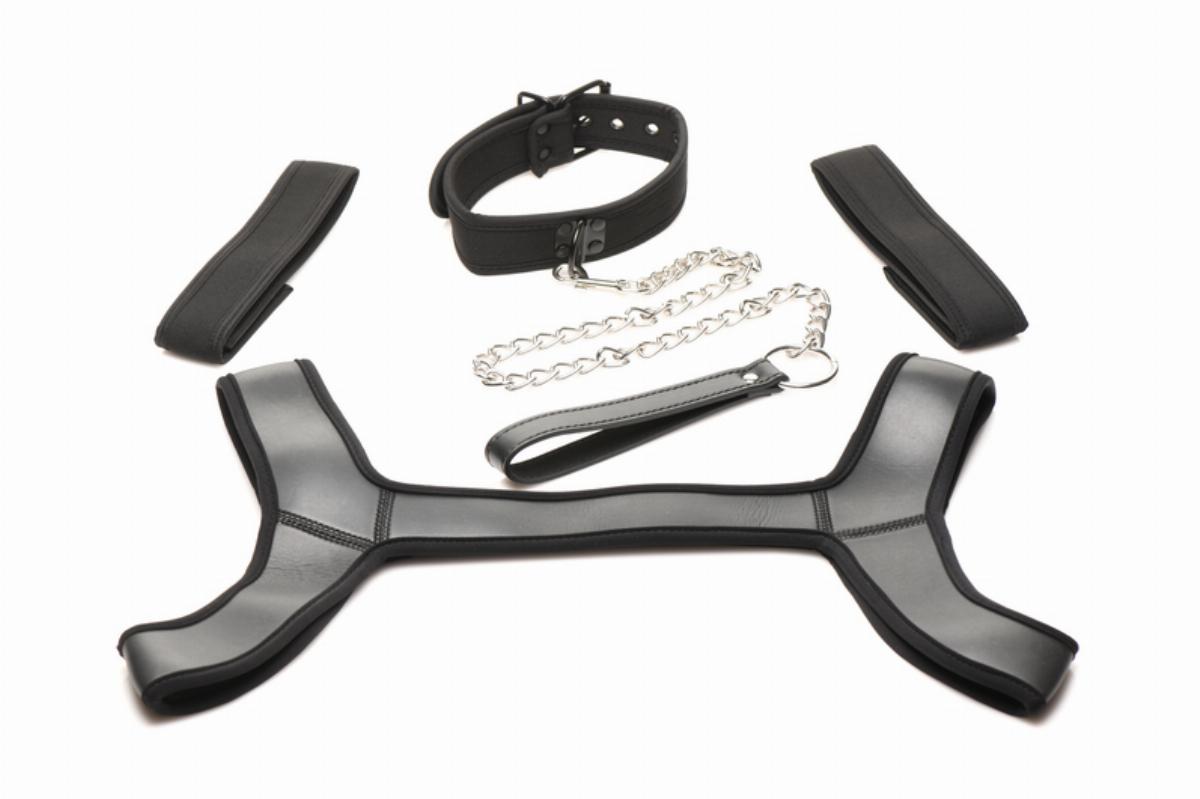 Komplettes Welpen Set Schwarz