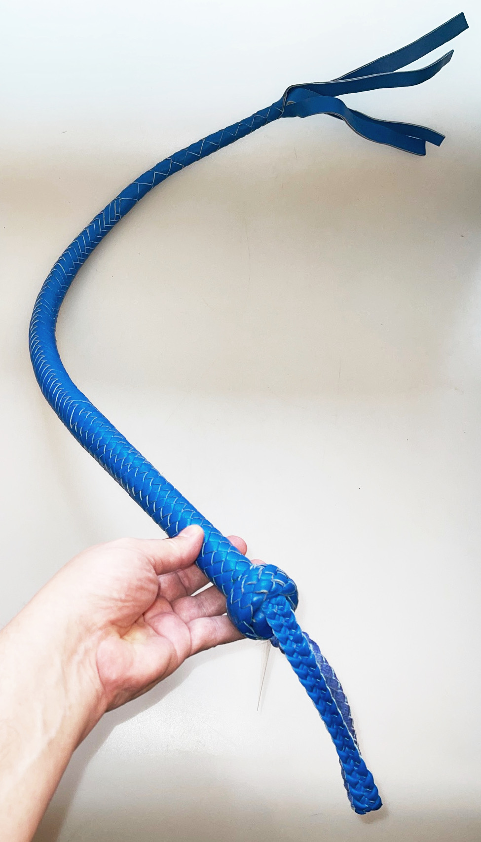 Kanadische Shortpeitsche kurze Singletail - Blue
