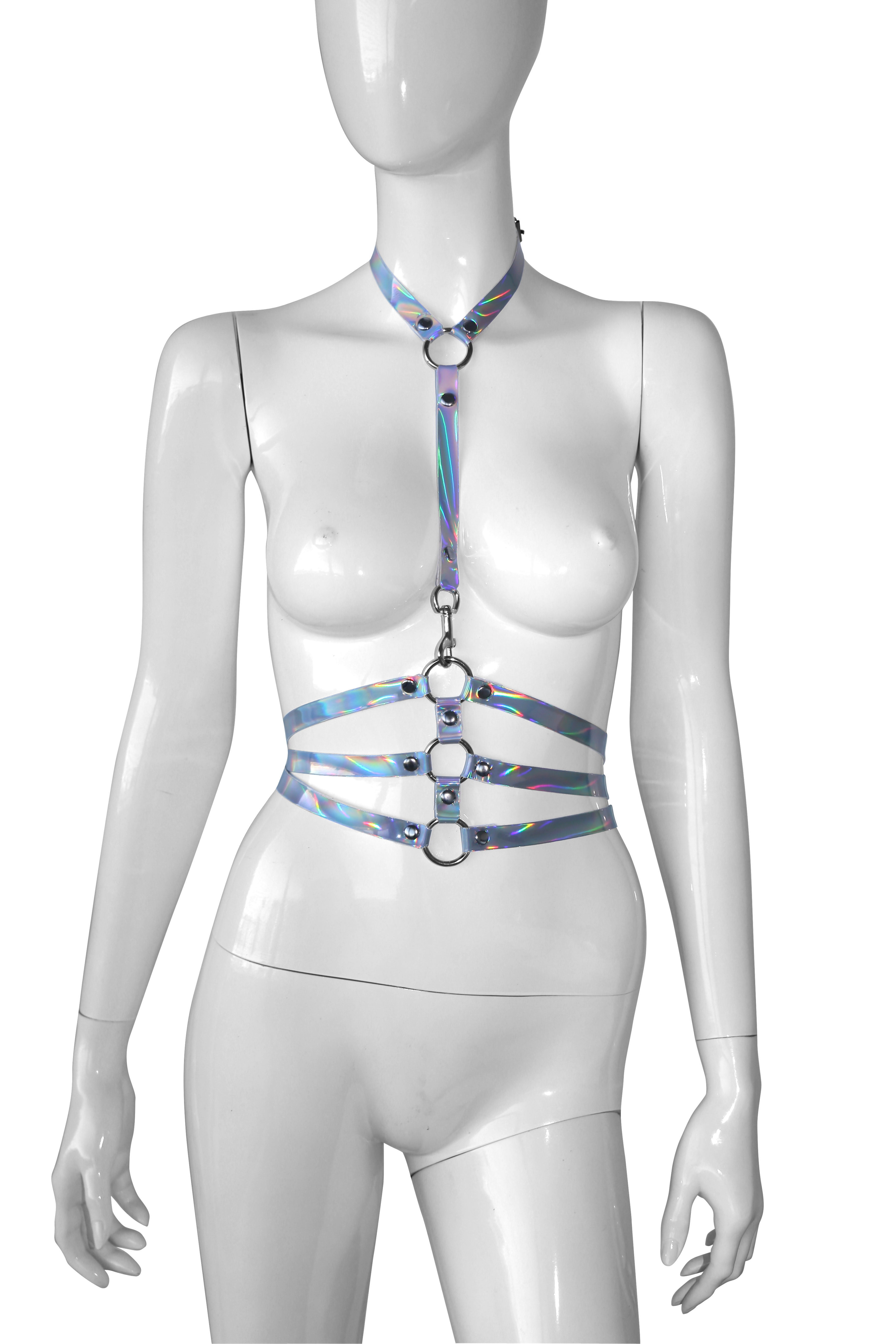 Body Holographic