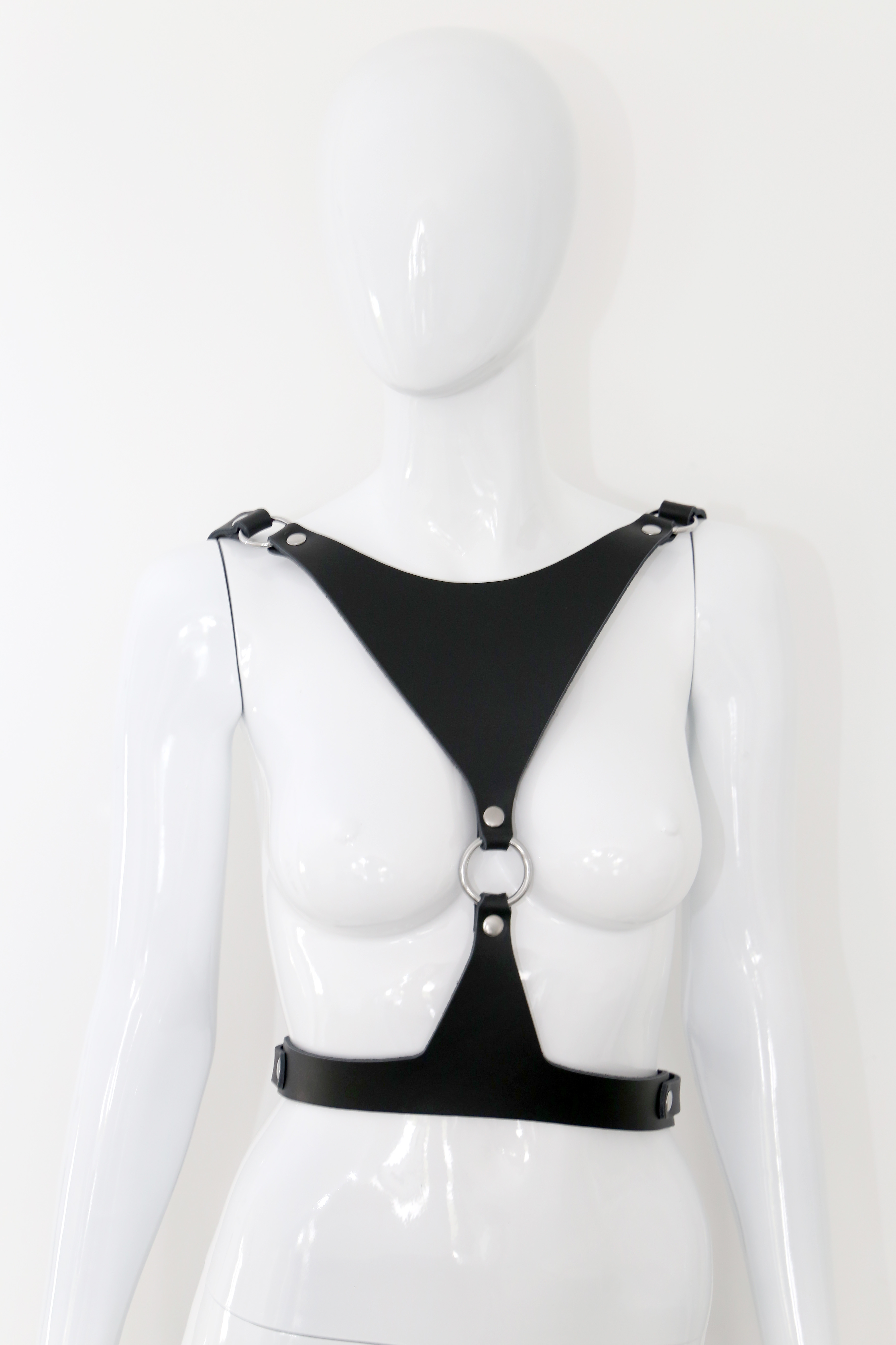 Harness