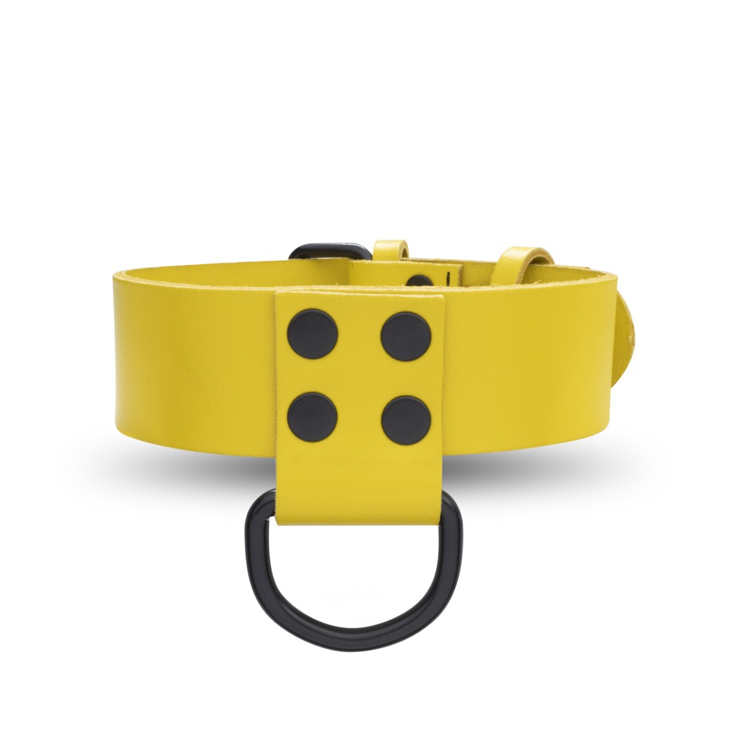 Leather Collar Yellow