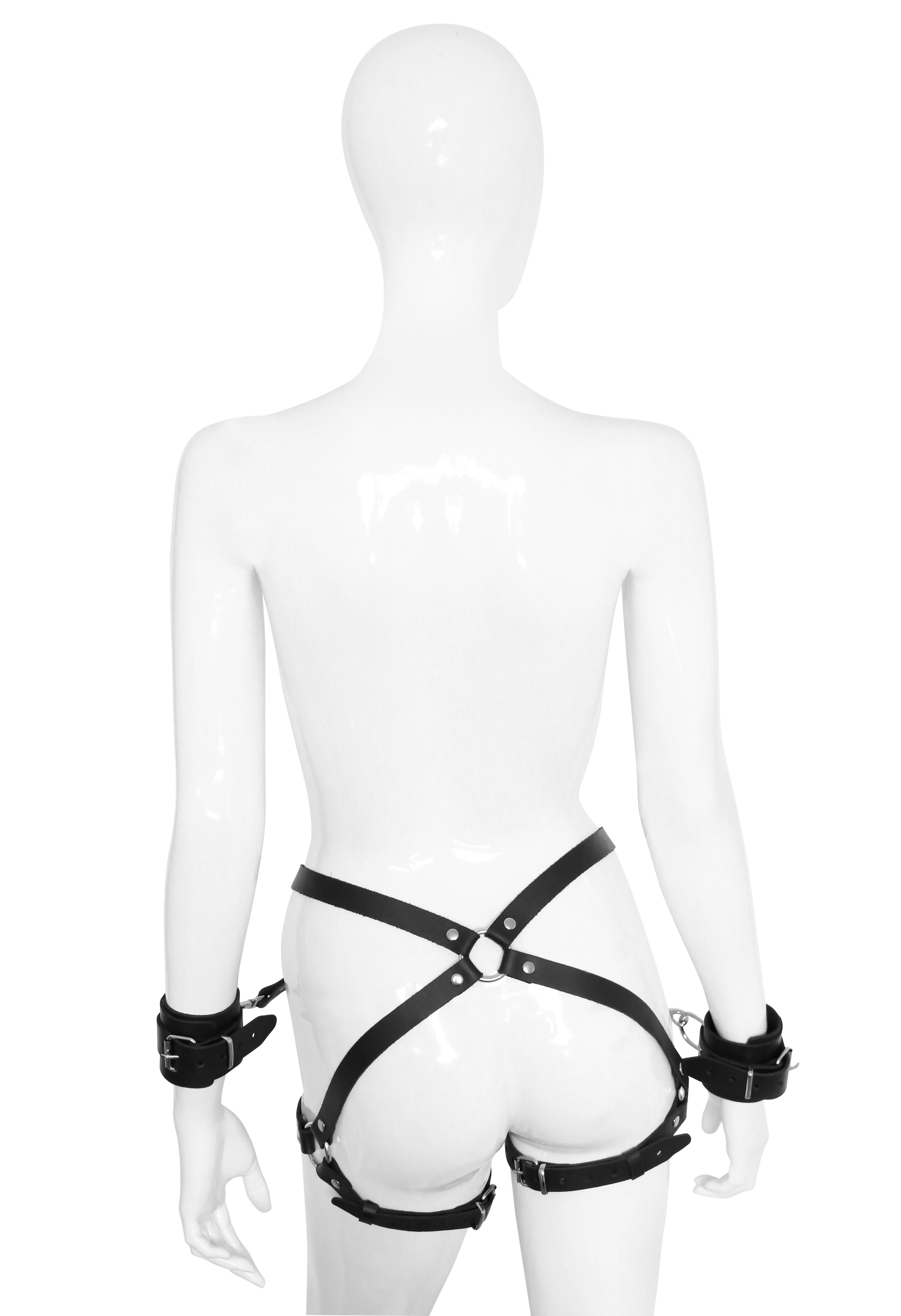 Harness "Beauty"