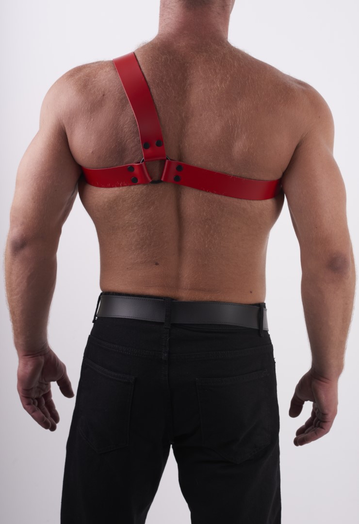 Leder Brust Harness Y Rot