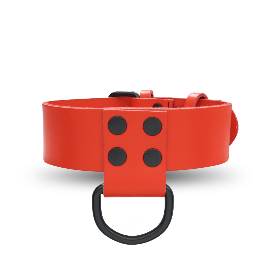 Leather Collar Red